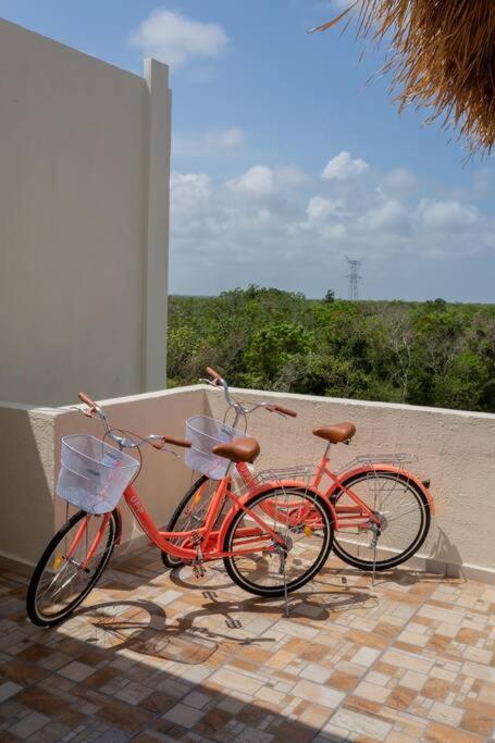 Frida'S Rooftop Puerto Morelos Luaran gambar